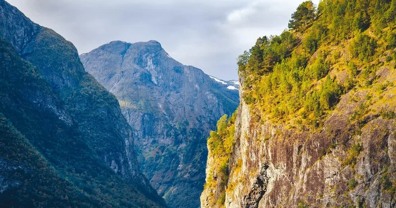 Klassische Nærøyfjord-Fjordrundfahrt ab Flåm